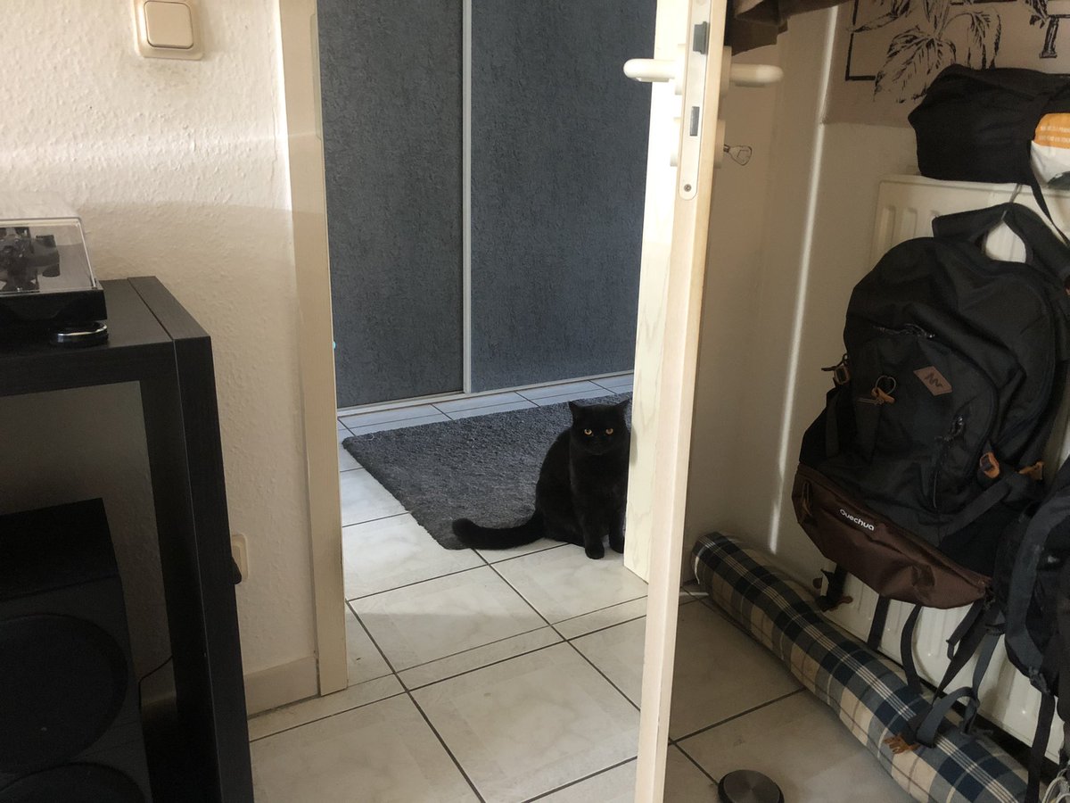 Got a feeling my cat is planning to kill me 🫠