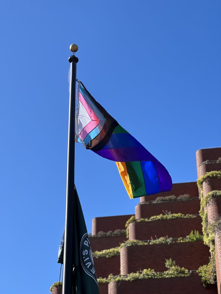 LeviStraussCo's tweet photo. It’s #PrideMonth2022! We’re proud to fly the #prideprogressflag for the first time in celebration of our LGBTQIA+ employees and allies. Learn more about the work we're doing to advance equality. 👉 https://t.co/Pk08foFlRN https://t.co/sTQR9sybg8