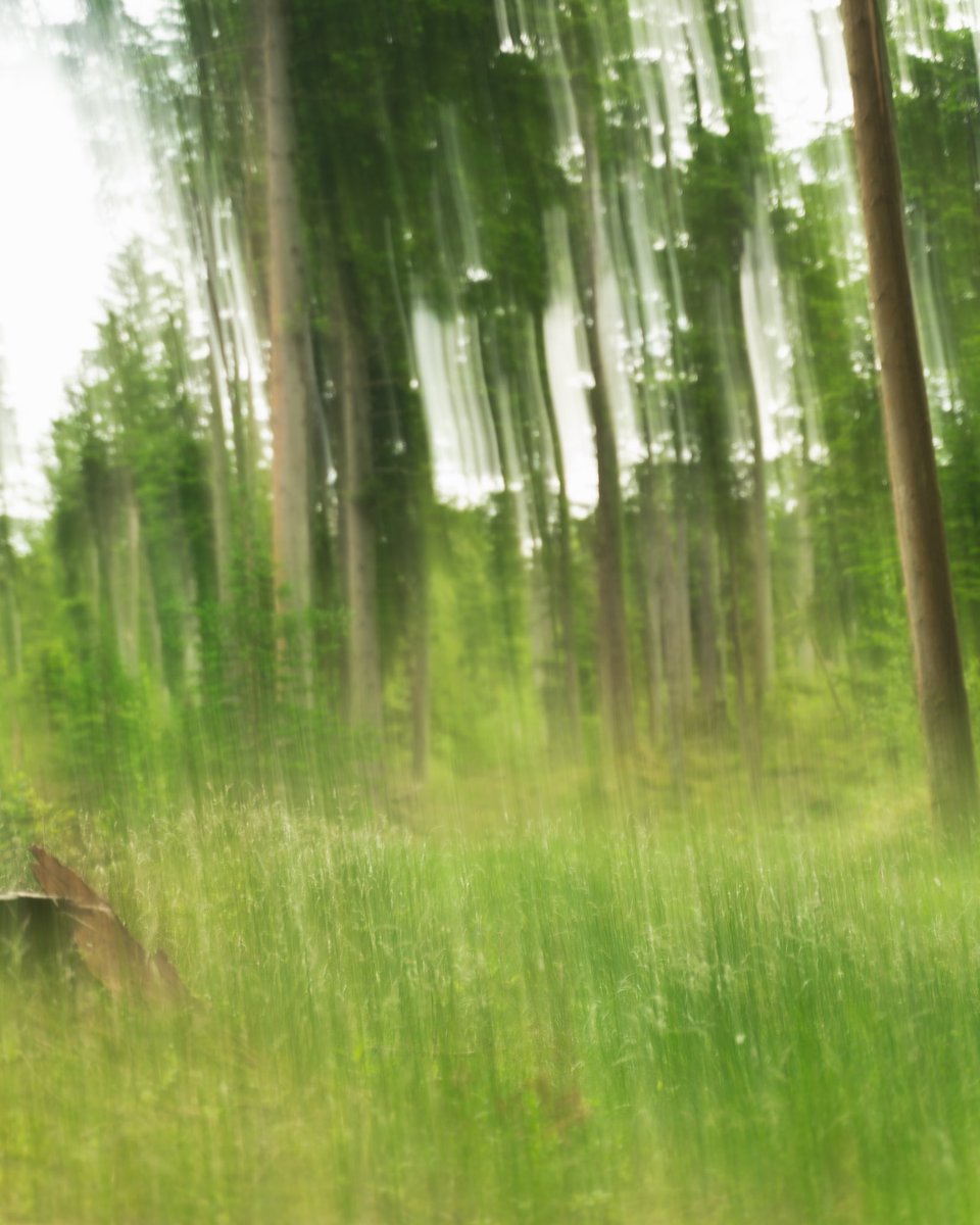 Udkantdk's tweet photo. Blurry days, life is a haze 🥹

#udkant #danmark
#photooftheday #photography #NaturePhotography #socialemediererstrenge https://t.co/RiWWvTOrw2
