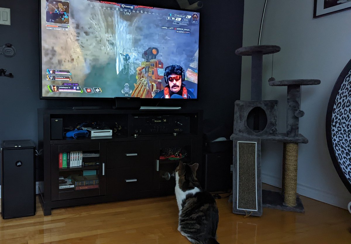 desj01's tweet photo. @DrDisrespect  My cat is all about the VSM. #1 catfan https://t.co/U7dyaNU4CO