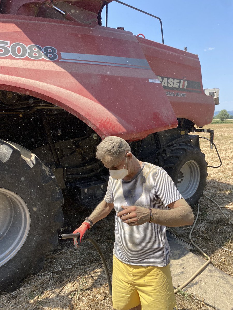 Multiplicateurs de semences . Nettoyage entre deux variétés de colza #anamso
