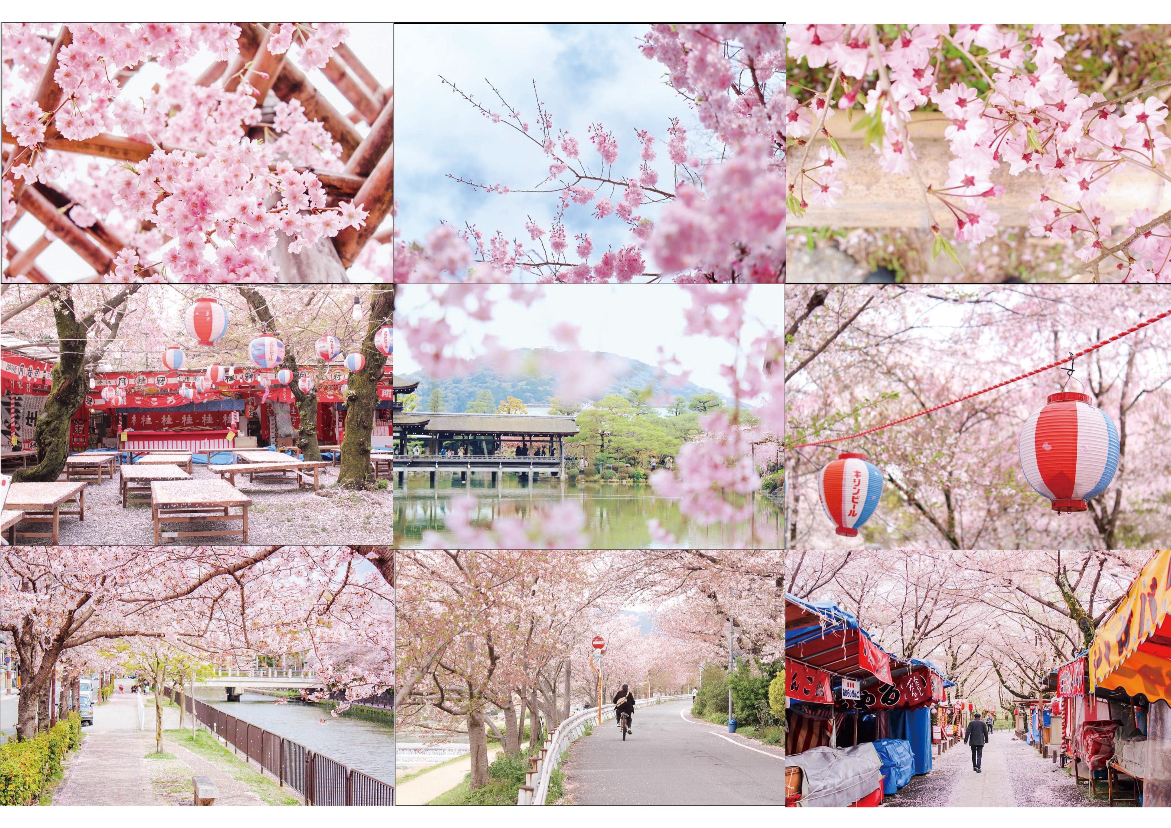 ◎のぞみページ のぞみ (@Nozomi_049) / X