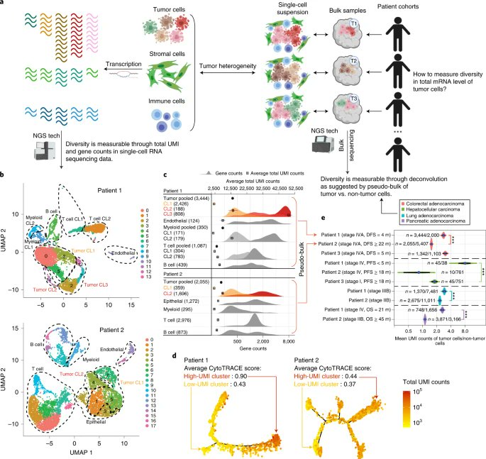 NatureBiotech's tweet photo. Estimation of tumor cell total mRNA expression in 15 cancer types predicts disease progression https://t.co/PFhz64TRov https://t.co/OyQUHayTgH