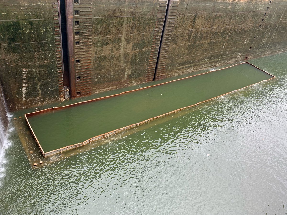 NashvilleCorps's tweet photo. #NashvilleCorps is working with Terral River Service to clear a barge from Kentucky Lock’s chamber that sunk 7:30 a.m. Saturday, June 11. #USACE Nashville District operates the #Navigation lock at the @TVAnews project. #NashvilleCorps #USACE #KentuckyLock 
https://t.co/Q7fM839wmA https://t.co/yjZkLgeMex