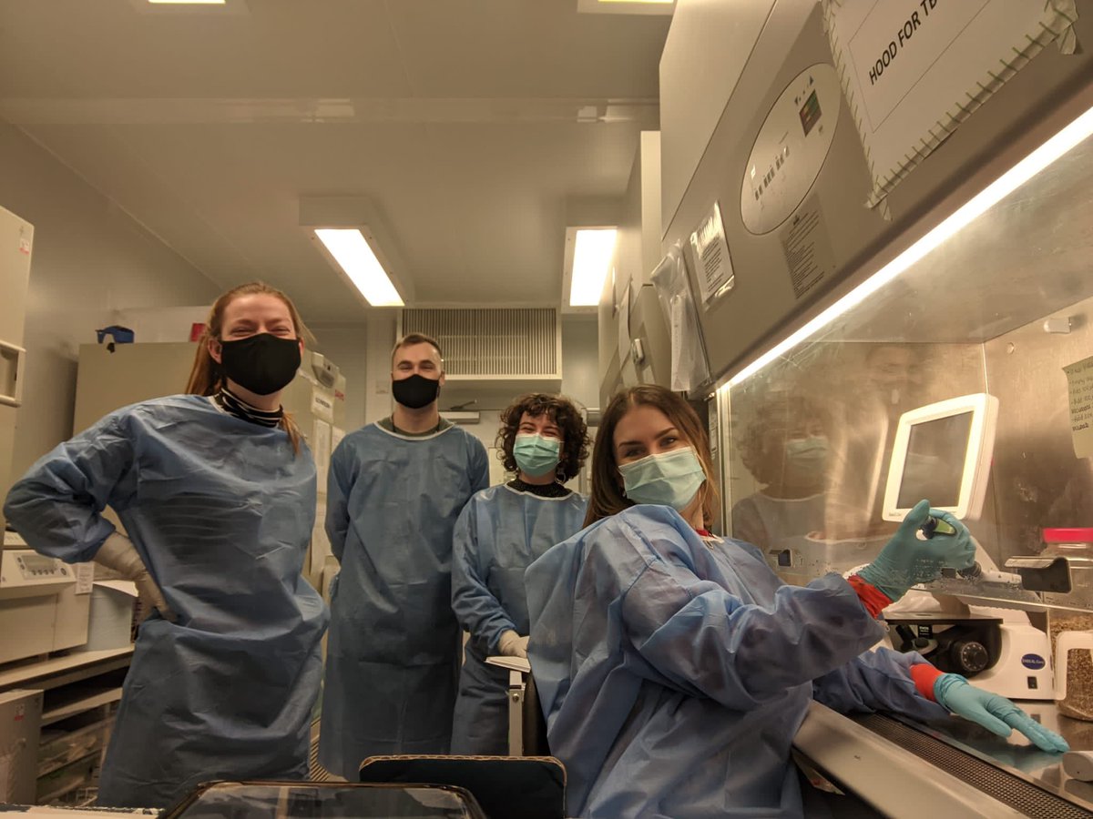 kate_buist's tweet photo. Recently had my last day at LSTM! I’m so grateful to have worked with such an amazing team full of talented scientists. Missing them all already but so excited for my next chapter!👩🏻‍🔬 https://t.co/0XVuruBAKF