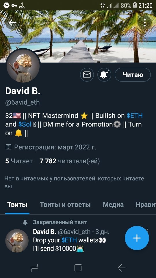Snow tweet media