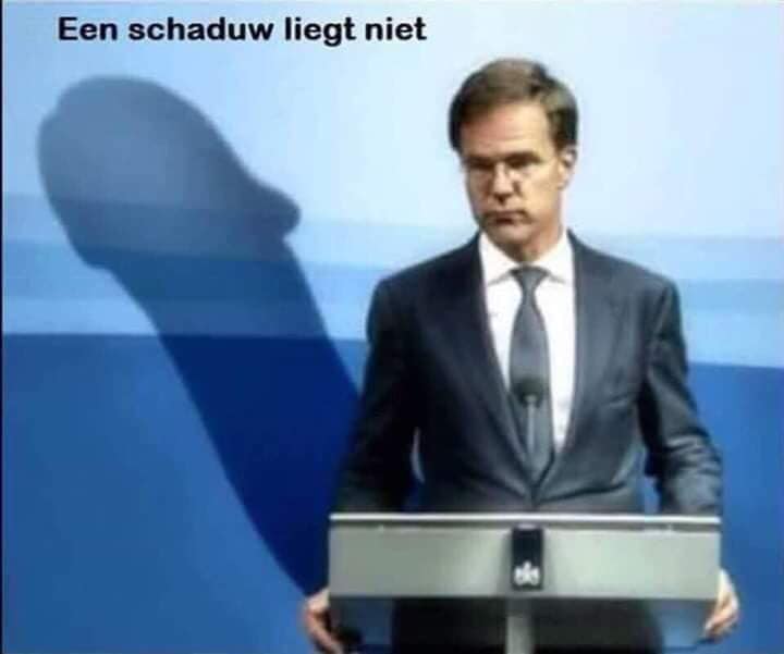 Wilhelmina2024's tweet image. 