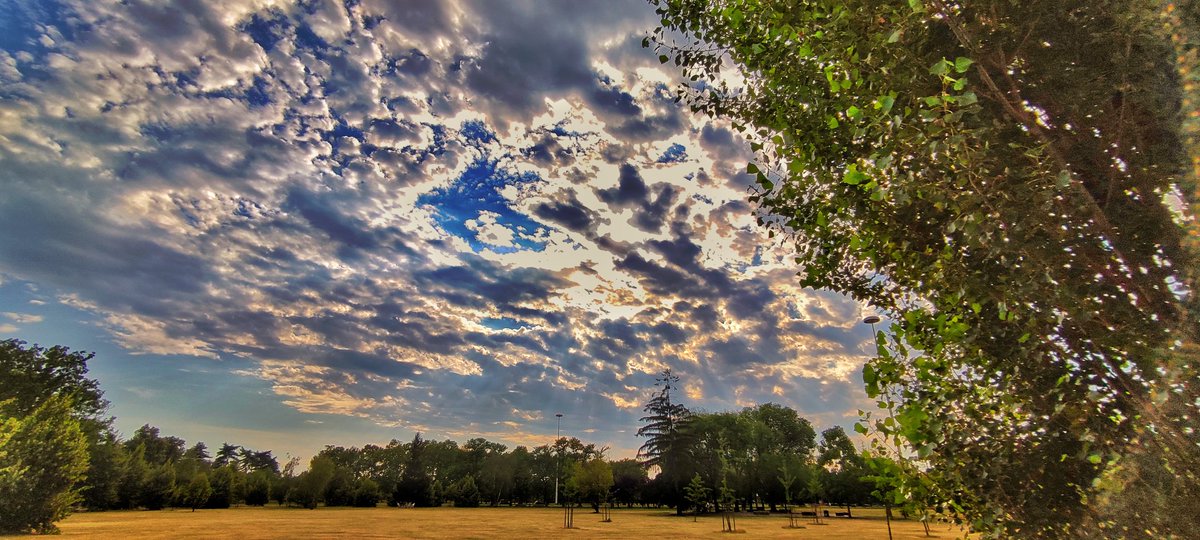 3ss8nc3's tweet photo. #milano #parcoditrenno #cielo #nuvole #alberi #verde #sky #clouds #trees #green #photooftheday #photography https://t.co/vWkZiRxYpz