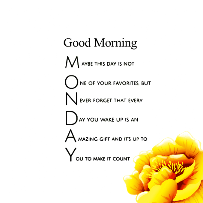 AdrienneMaloof's tweet image. Happy Monday! Not a favorite day of the week for most, but a good opportunity to start fresh and with gratitude 🥰 #MondayBlues #MorningMessage #EveryMomentCounts