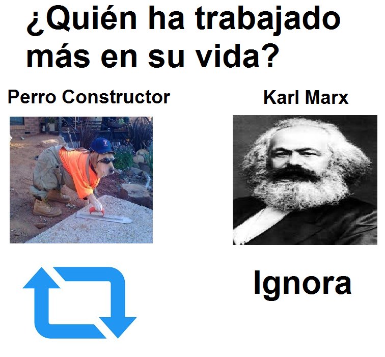 Perro constructor fachero