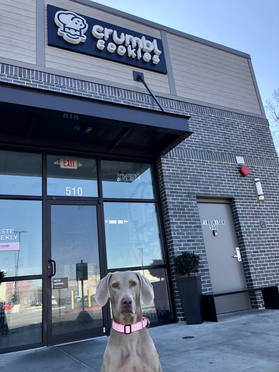 Christine DiPasquo Robinson tweet media