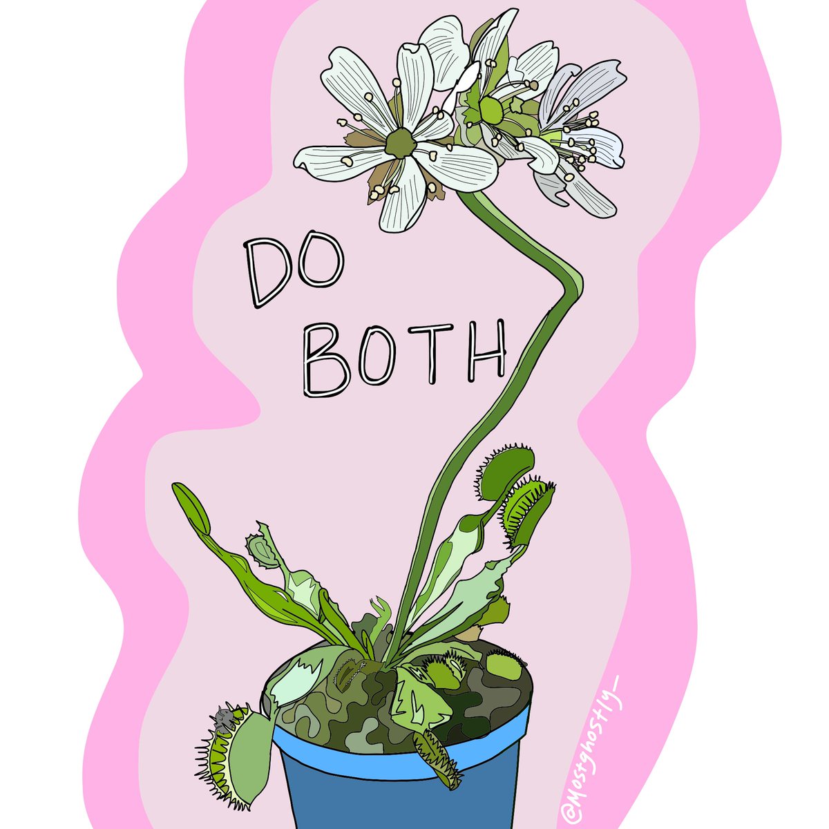 mostghostly_'s tweet photo. Tough and dainty, the #venusflytrap reminds me to stand in my power, and to flower. #flowerpower #plantteacher #innerauthority #vulnerabilityisstrength https://t.co/4lVPzE7xhF