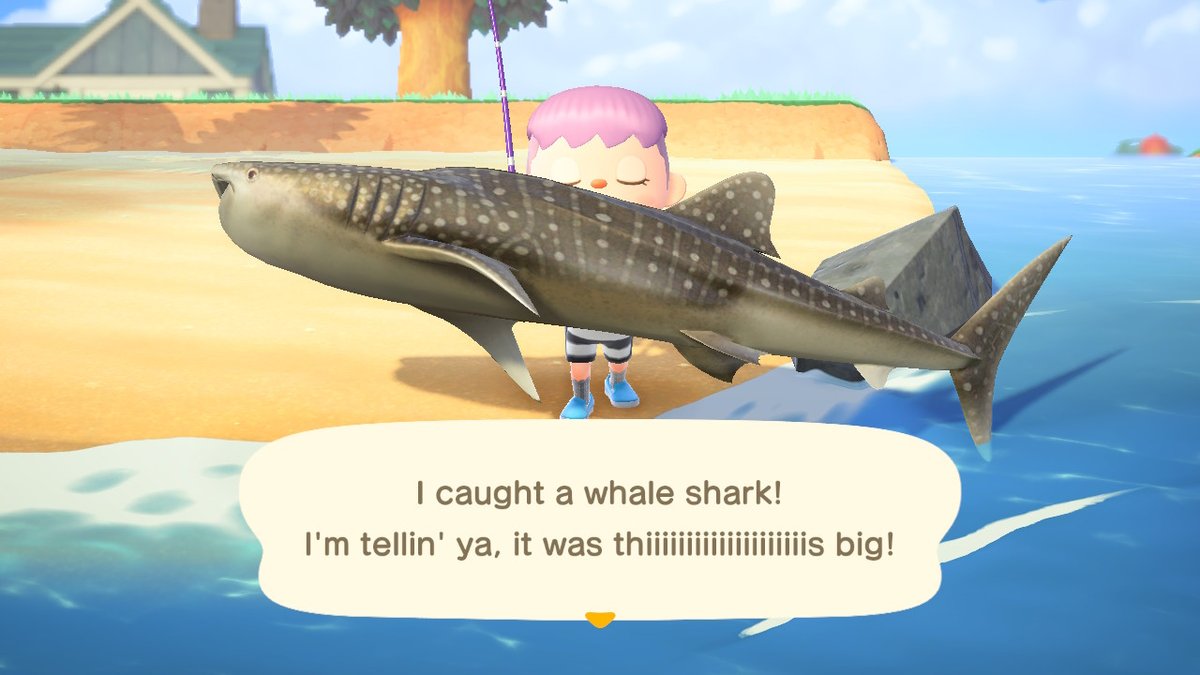ElderGroveAC's tweet photo. A whale shark.
#AnimalCrossing #ACNH #NintendoSwitch https://t.co/vONIqBlLTB