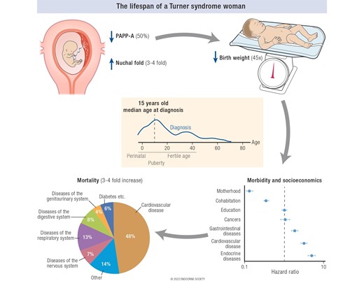 In 1938, Henry Turner described a series of women with unusual physical features and abnormal development. A new update today #EndocrineReviews The changing face of Turner syndrome #Reproduction #GonadalDysgenesis #Genetics #Epigenetics   @chgravholt  academic.oup.com/edrv/advance-a…