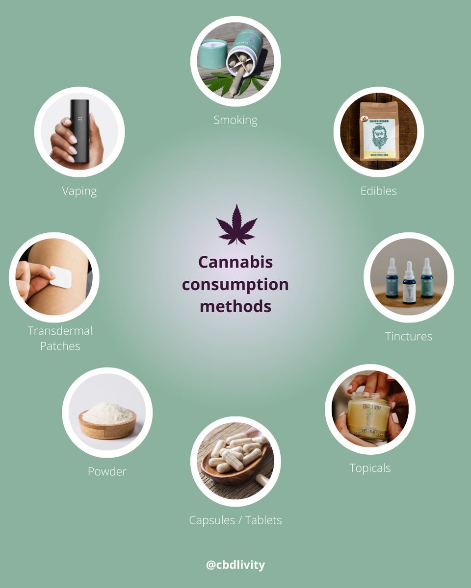 cbd_livity's tweet photo. How many of these methods have you tried?? 👀🤔🌿

There are now so many diverse ways to consume #cannabis due to its increase in accessibility and demand 📈🙌

With a wide variety of  techniques and products on the market having differing overall effects and on-set delays ⏳✨ https://t.co/xVQKlweiEM