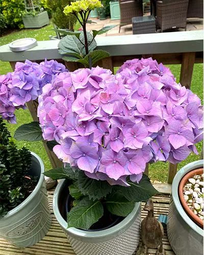 Decorque Cards tweet media