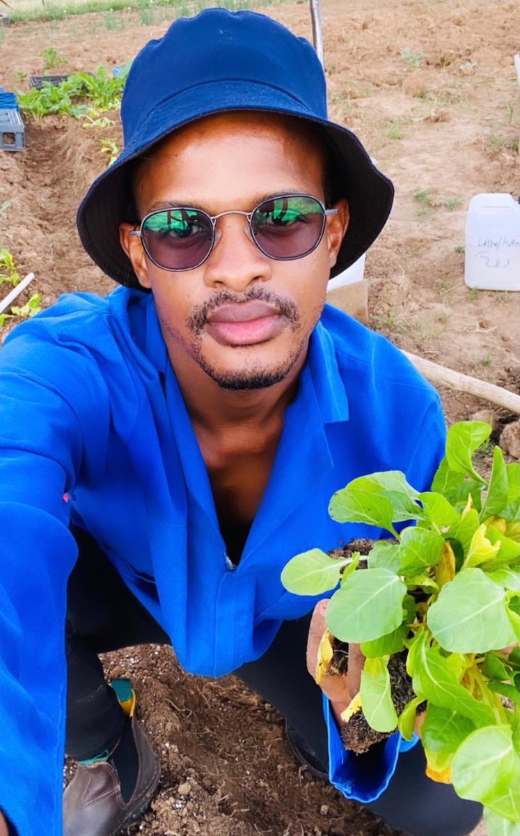Agric_young's tweet photo. I was selling cabbage🥬 from my farm in my village, and villagers complained that it was expensive. I sold it to Somalians and Indian Spaza shops🏬. Guess what? They are buying it and not complaining😌

#agricultureandyoung #kwandathefarmer
#farmingandyoung
#farming #agriculture https://t.co/NfZZ415mzS