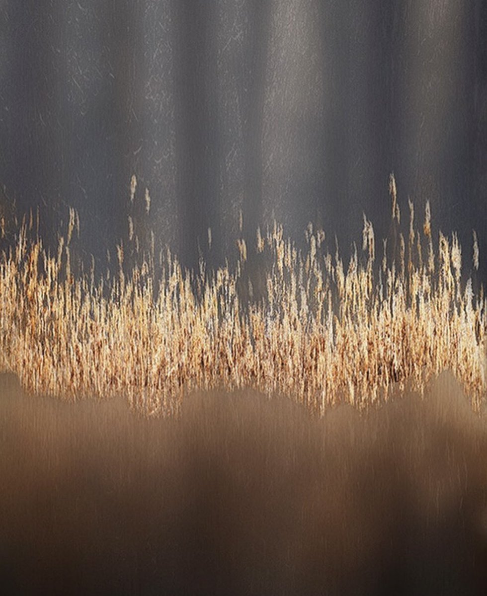 Henk Speksnijder (@dutchhenk) on Twitter photo 