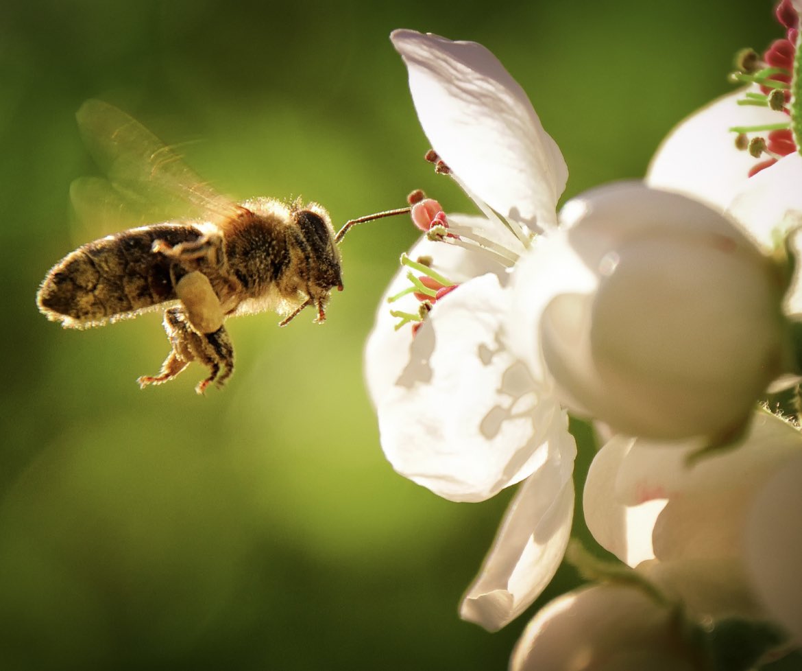 Scott Taylor tweet media