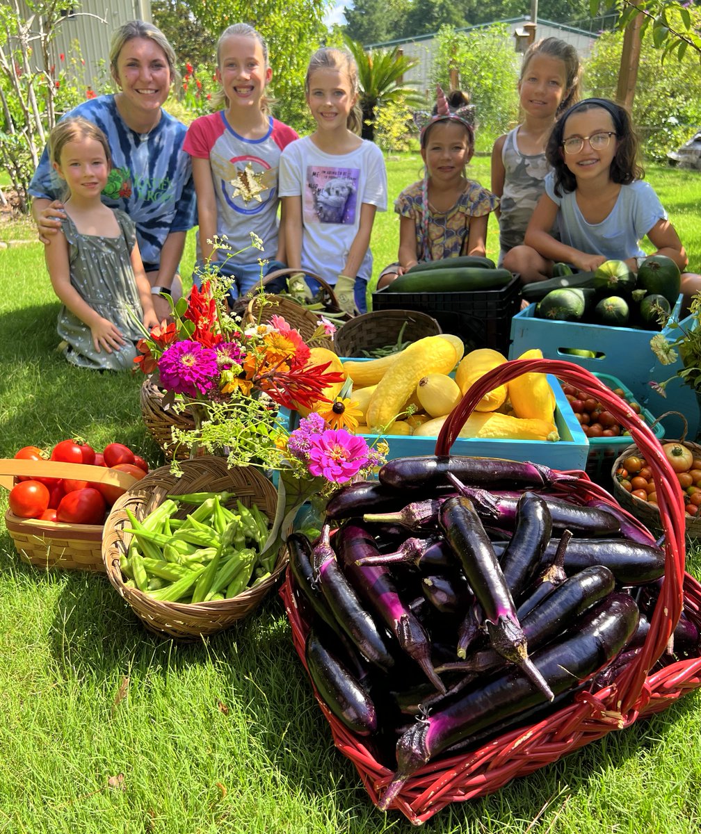 KatiesKrops's tweet photo. 180 pounds of produce shared with the @ChasCoLibrary #freeandfresh program. We are honored to partner to combat food insecurity in #CharlestonCounty. #GardeningForGood https://t.co/td771xprqK https://t.co/fw343NoY6m