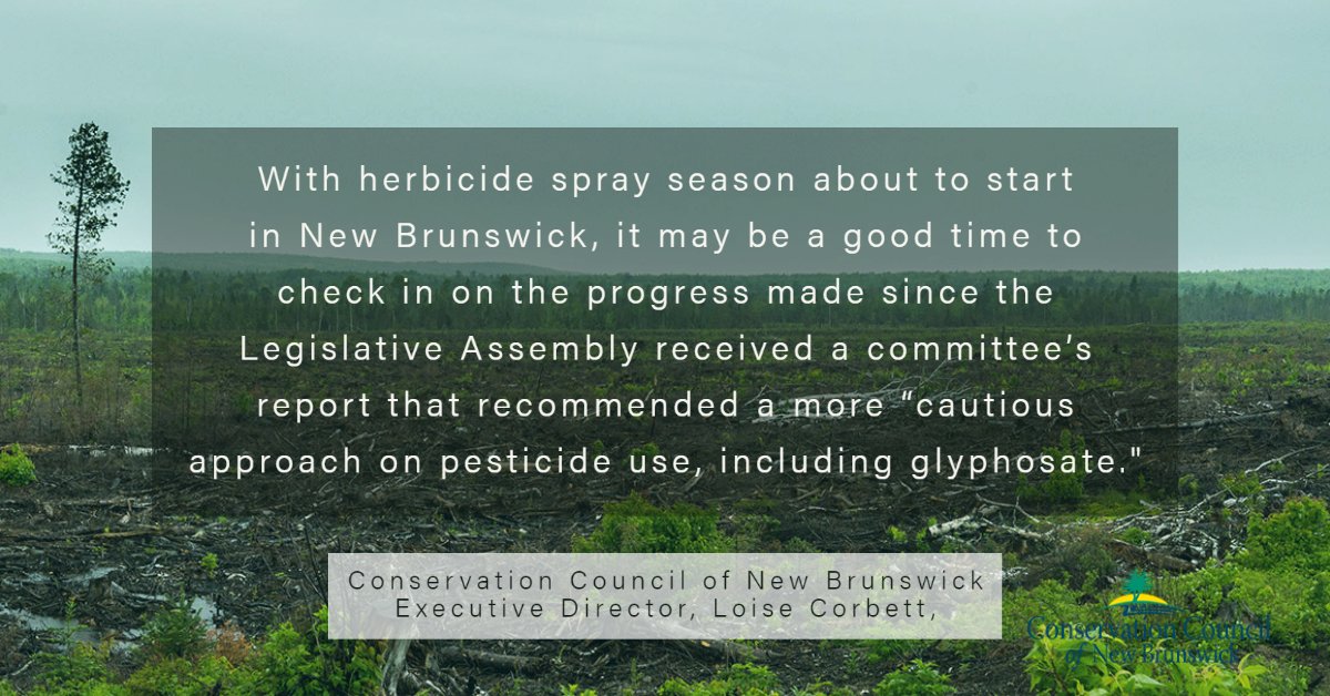 With herbicide spray season about to start in N.B., it may be a good time to check in on the progress made since the Legislative Assembly received a committee’s report that recommended a more “cautious approach on pesticide use, including glyphosate.” conservationcouncil.ca/nullity-and-du…