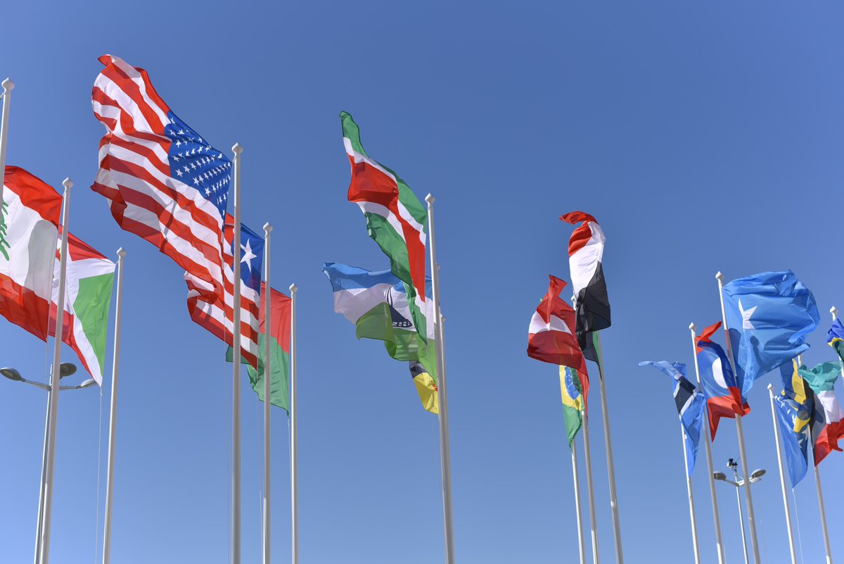 GrandNewFlag's tweet photo. Are you ready for Flag Day and our ten year anniversary! Purchase your flags and celebrate with us tomorrow!
.
.
.
#anniversary #FlagDay #madeinusa #grandnewflag https://t.co/wRVTeu7ZX7