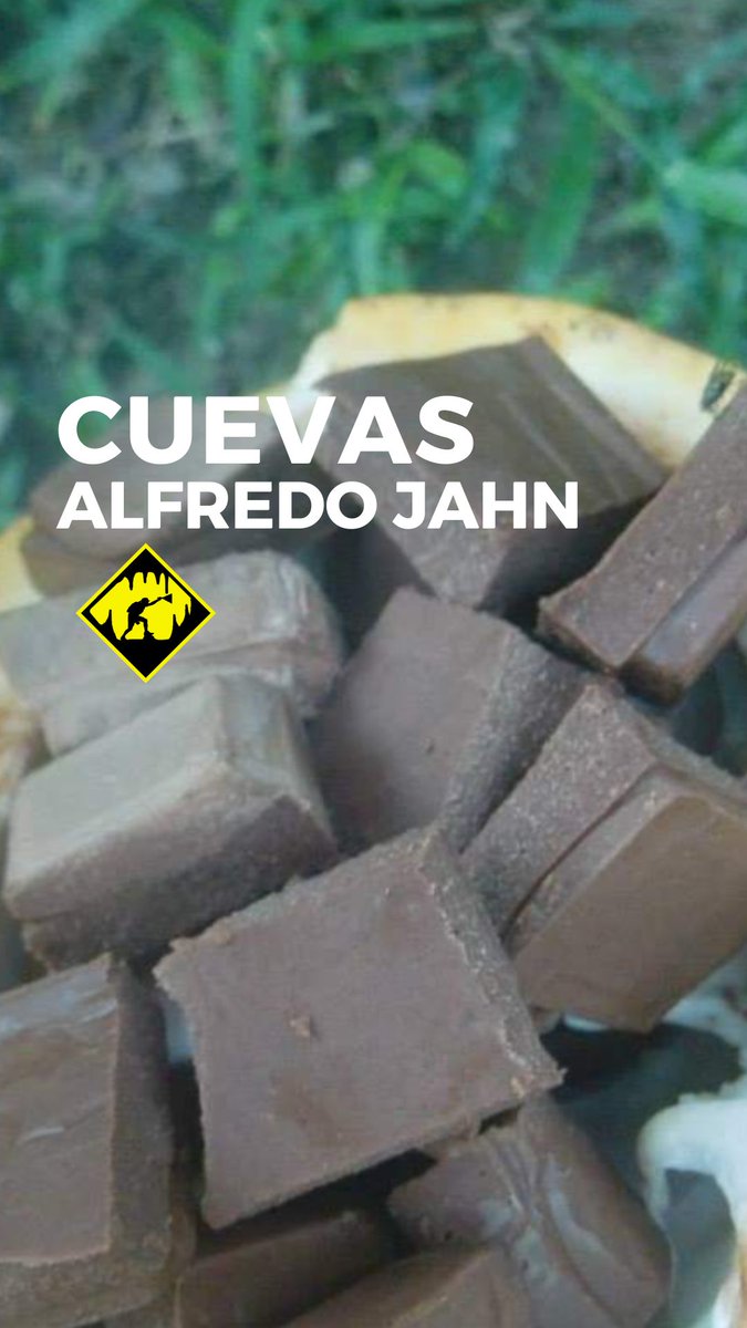 EcoArcangel's tweet photo. Luego del recorrido por la cueva, tendremos el placer de degustar chocolate.
¿Te animas a ir? https://t.co/Fw1spj0G5n