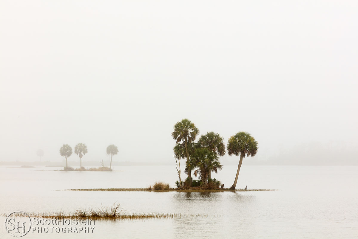 scottholstein's tweet photo. A foggy morning at St. Marks National Wildlife Refuge, south of Tallahassee, Florida. Buy prints or license: https://t.co/6sjgvUqTCg #landscapephotography #wallart #florida #photographylovers #stmarksnwr https://t.co/37T4LXJ7vq