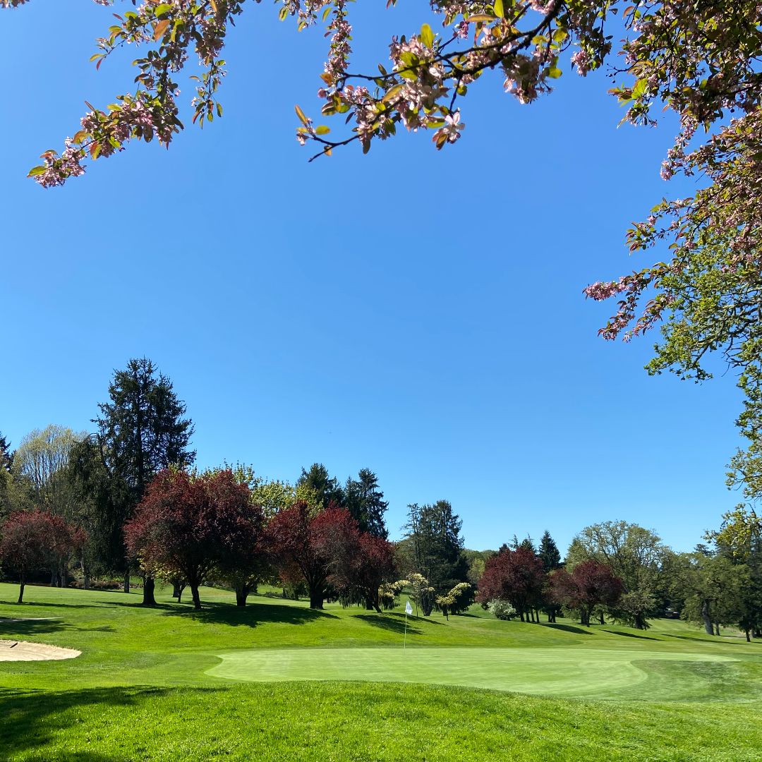 CorvallisClub's tweet photo. We are hosting a golf event Tues 6/14 so the course will open up around 12p. 6/18 is the deadline for Men's Member-Guest registration. Call the pro shop for info.

#corvallisclub #pnwgolf #corvallisrestaruants #corvallisfood #oregongolf #golforegon #corvallisoregon #corvallis https://t.co/WmdAm6dUhB