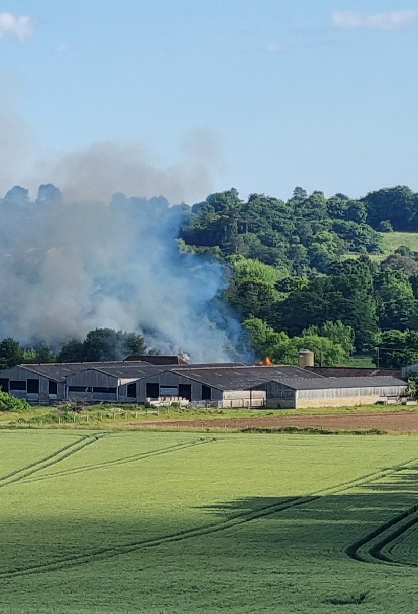 brianmatthews22's tweet photo. Seems to be a  big fire at Losely Park. @getsurreylive https://t.co/2Ptfb4C7Q6