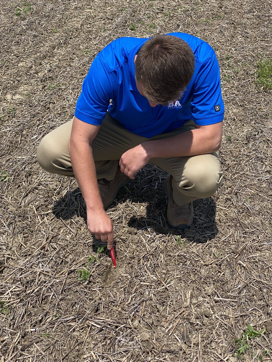 Kaston our Ohio summer intern checking on soybean planting depth for a grower in western ohio #soybean #soybeans #Plant22 #agronomy #PlantScience #aglife #agriculture #enlist #enlistsoybeans #notill #farming