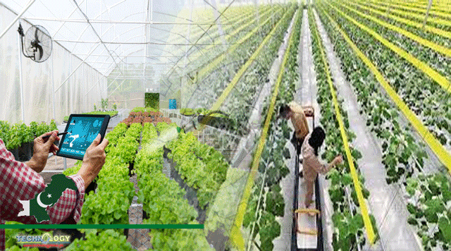 techtimespk's tweet photo. Strategy evolved to modernize agriculture for higher growth #TechnologyTimes - https://t.co/2yRGD1TJXC https://t.co/GGPB9MTVhX