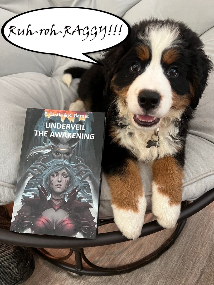 ElinaKevin2's tweet photo. Mystery incorporated was no match for our mystery! Scooby just read the ending to our book. Will you be as surprised as Scooby was?
https://t.co/1ottEQKYlj
#bookstagram #fantasy #Magic #ScoobyDoo #UnderveilTheAwakening #newbook #indie #AnimalCrossingNewHorizons https://t.co/nyXt9Ii1YW
