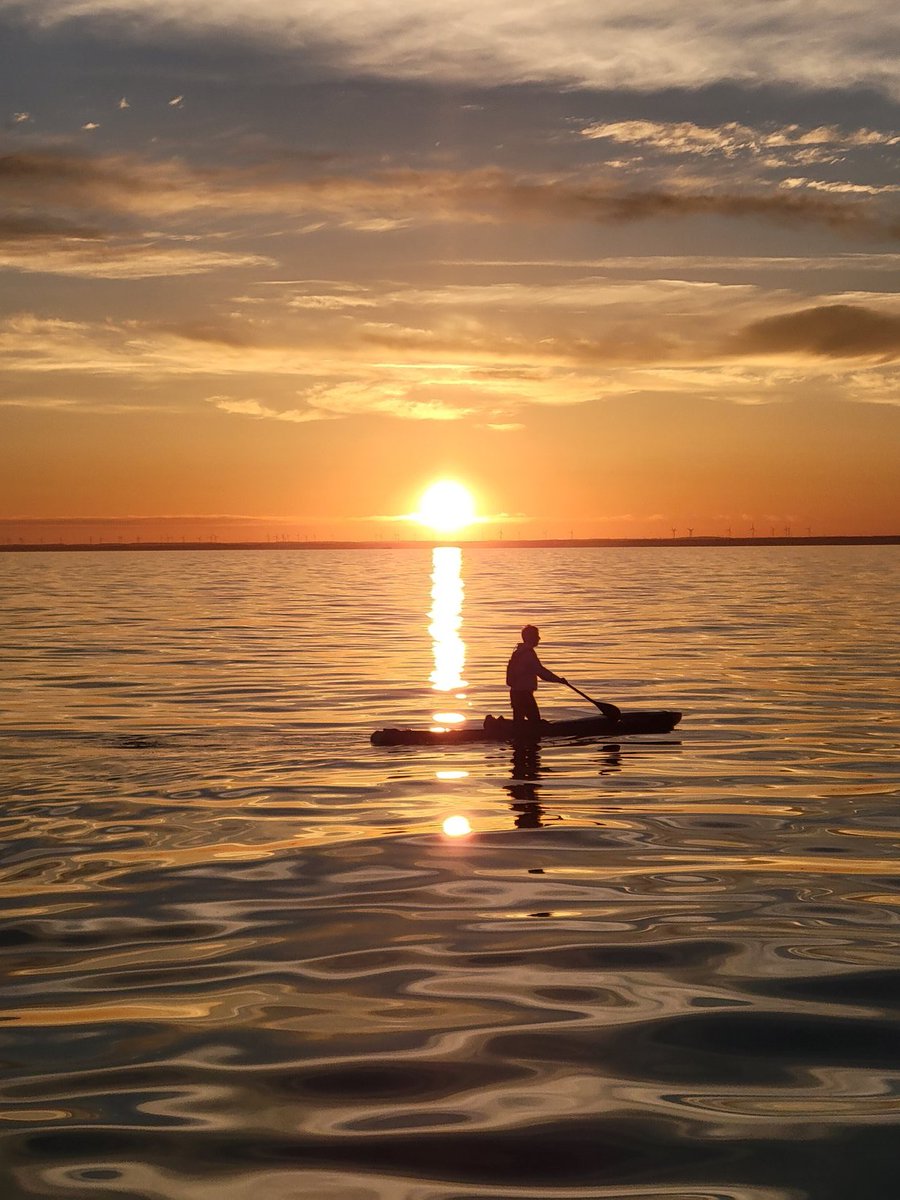 Mike Shoreman tweet media