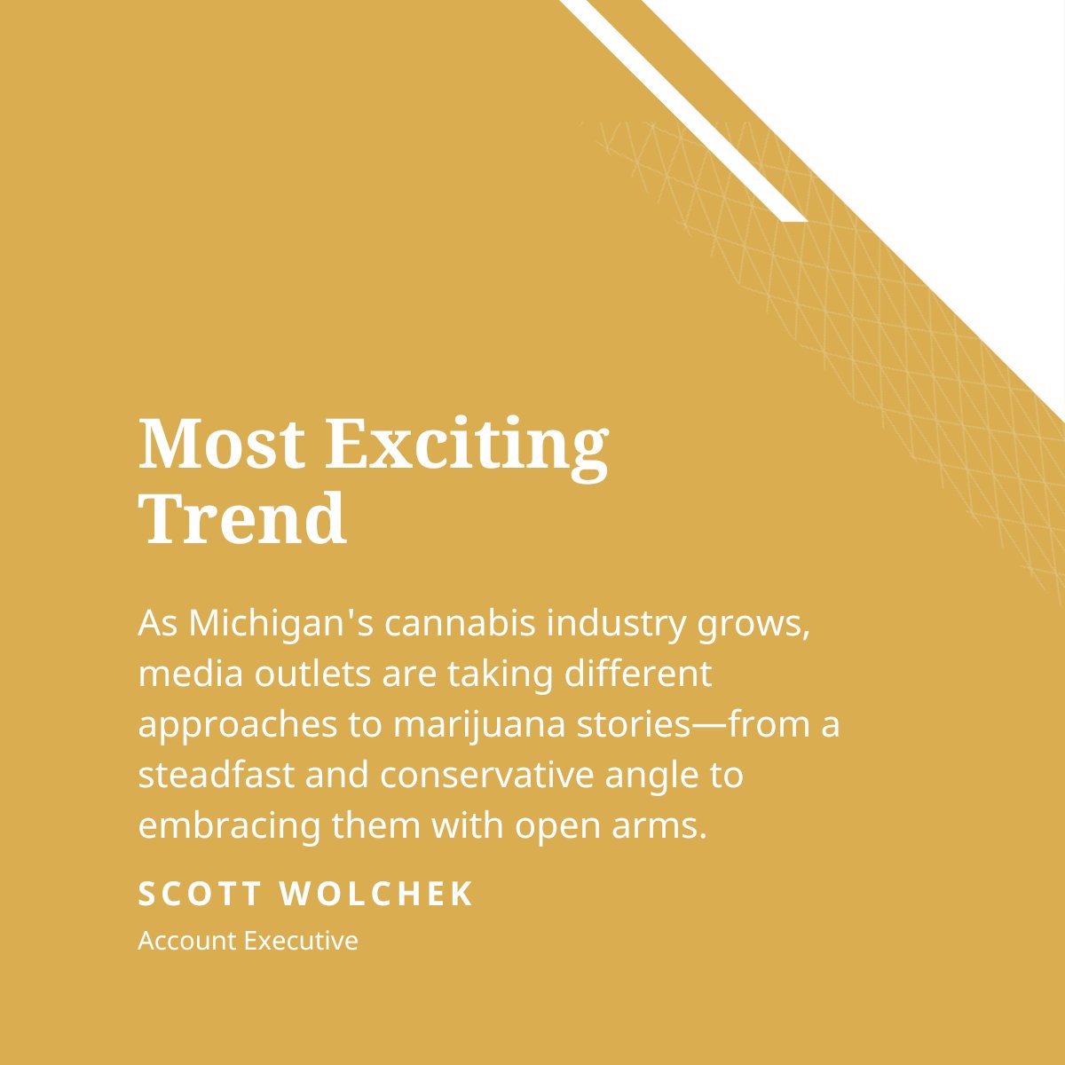 Identity tweet media