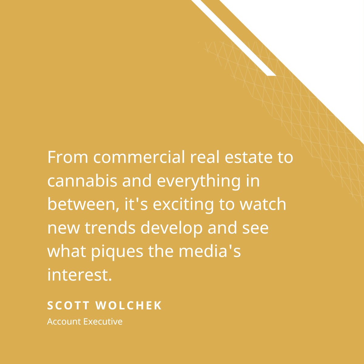 Identity tweet media