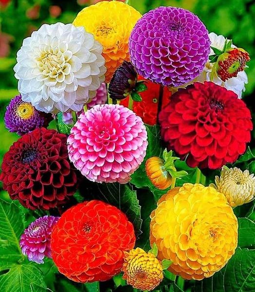 Szép hetet kívánok mindenkinek.