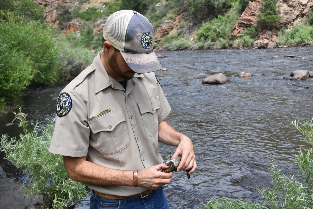 CPW_NE's tweet photo. Following the catastrophic flash flooding &amp; debris flow at the Black Hollow Creek confluence with the Poudre River last summer, anglers should expect to see impacts on the river this year. An update on fish population levels has been issued ⬇️

Story: https://t.co/lHfq9IxyjU https://t.co/Ahl3dQncKh