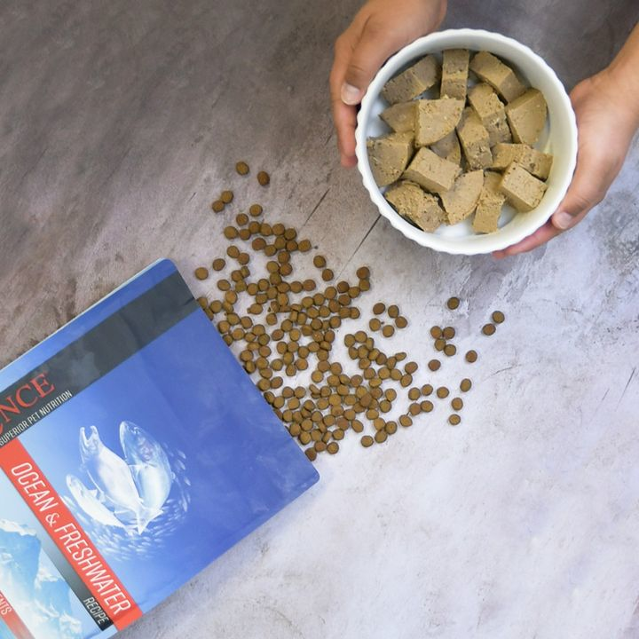 ForYourFurKids's tweet photo. Two tasty ways to munch on our Ocean &amp; Freshwater Recipe! 🤩🦴 Whether your pup prefers wet food or kibble, we've got both options loaded with flavor, nutrition, and protein! Explore this delicious, fish-first recipe on our website! 🐟 https://t.co/S3CxMSQmVN
