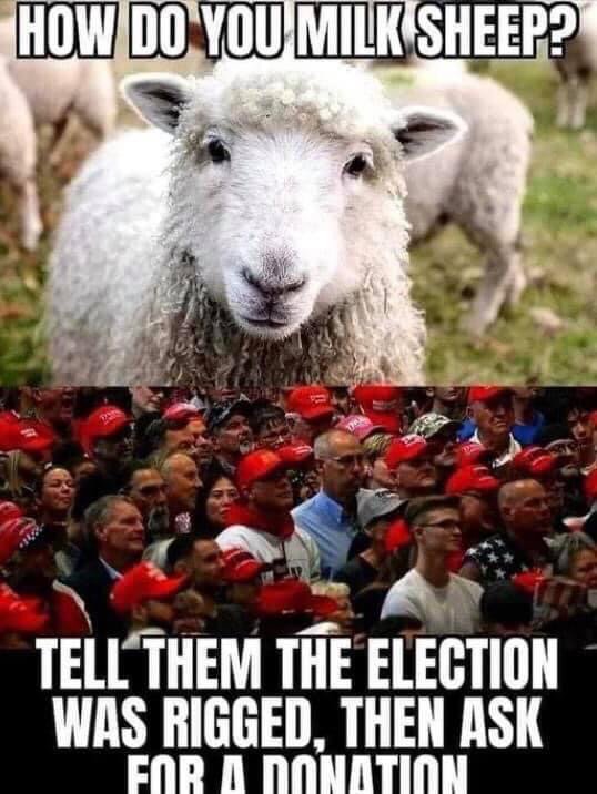 GuruLaker's tweet photo. @BonginoReport Once again, we have evidence that Trump &amp; his Right Wing Entertainers conned you sheep out of over 200 Million $$ by his election lies ... you don't care. They lied so much &amp; you people don't care. Bannon steals from those wanting to build a wall &amp; Trump PARDONS him!  Ugh! https://t.co/ooq9bc8rjh