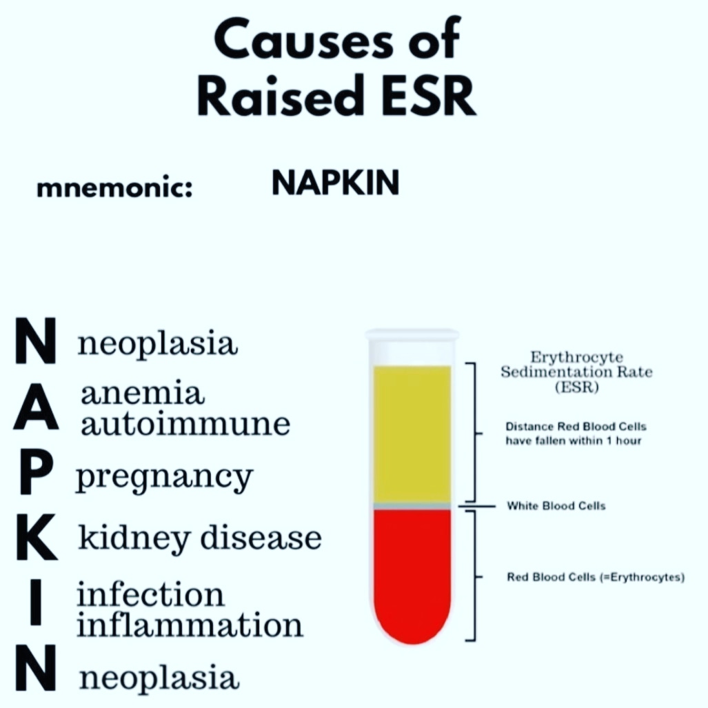 #esr #checkup 
#medicine #pathology  #medicos #medicalschool  #futuredoctor #nurselife  #nursing  #mbbs #doctor #pharma #neet #medico #nursingschool #pharmacology  #nurses #meditation #medical #medicalstudent #Mediterranean #trendingnow #trend #trending #treatment #treatyourself