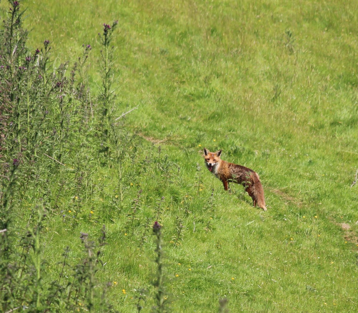 @SWTCLUN tweet media