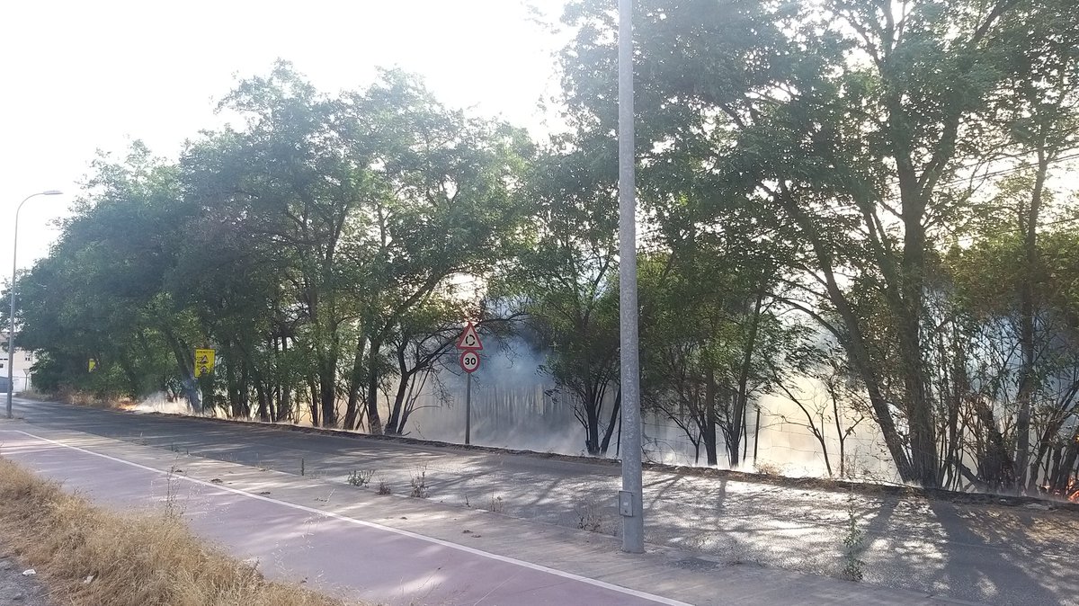 jorgitorrente's tweet photo. Incendio en Camino de Purchil @ideal_granada https://t.co/rAqWGukLe2