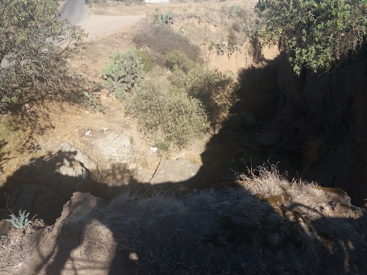ElDaka22's tweet photo. #perspectivas
el #capulin ... #cuautepecDeHinojosa #hidalgo.... https://t.co/W2T2jPvKuU