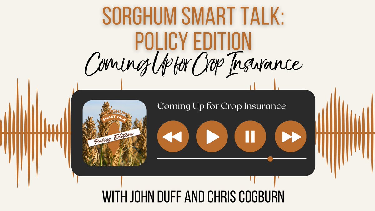 SorghumGrowers's tweet image. Join @SorghumDuff and @nspchris in our June podcast episode for the latest info on potential changes for sorghum crop insurance and details about the recently announced Emergency Relief Program (ERP). Available at sorghumgrowers.com/podcast/ and on your favorite listening platforms!
