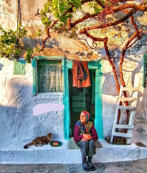 ''Biliyor musunuz, kendimi sürekli ihmal etmişim.''

Doğan Cüceloğlu