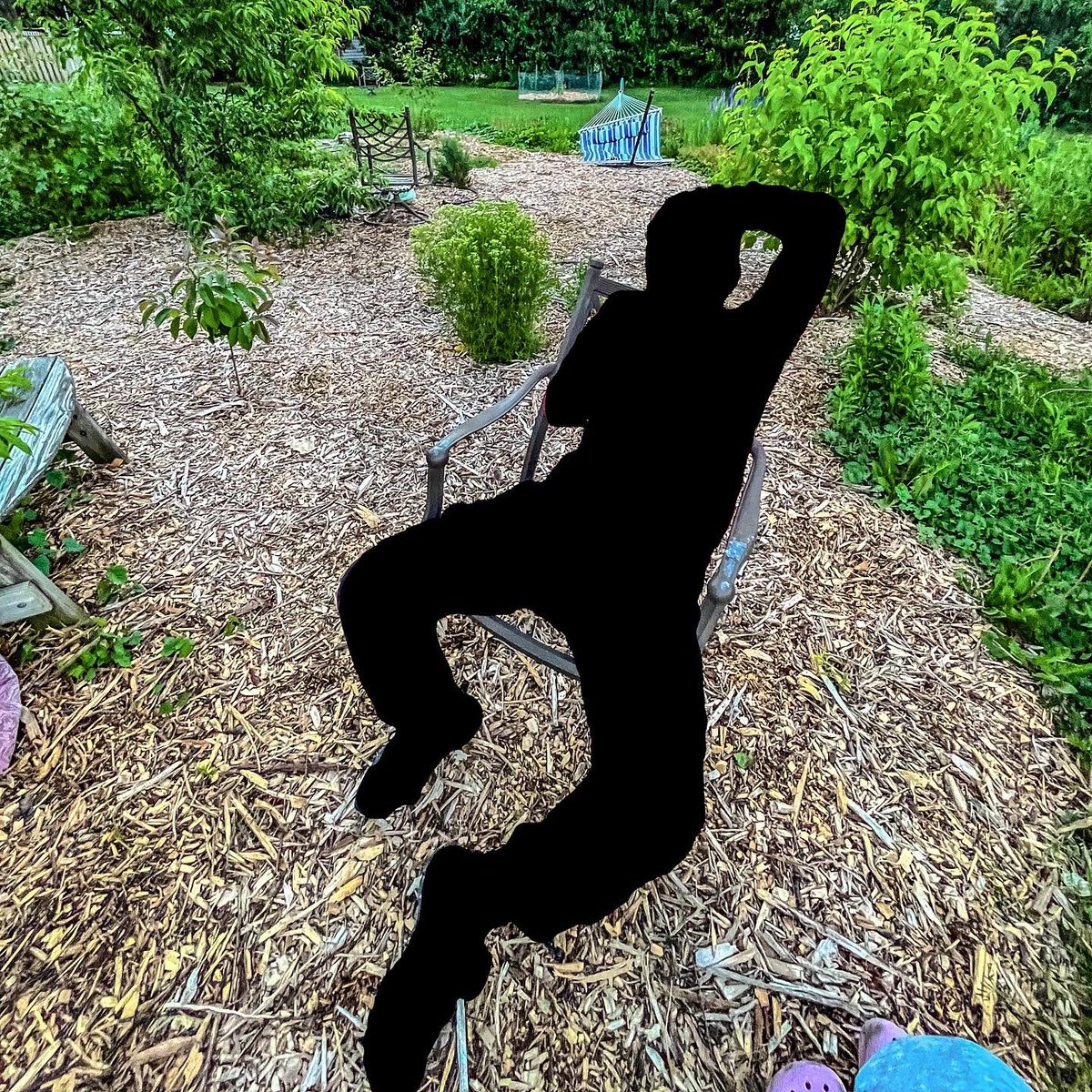 Shark Breach (@sharkbreach) on Twitter photo 