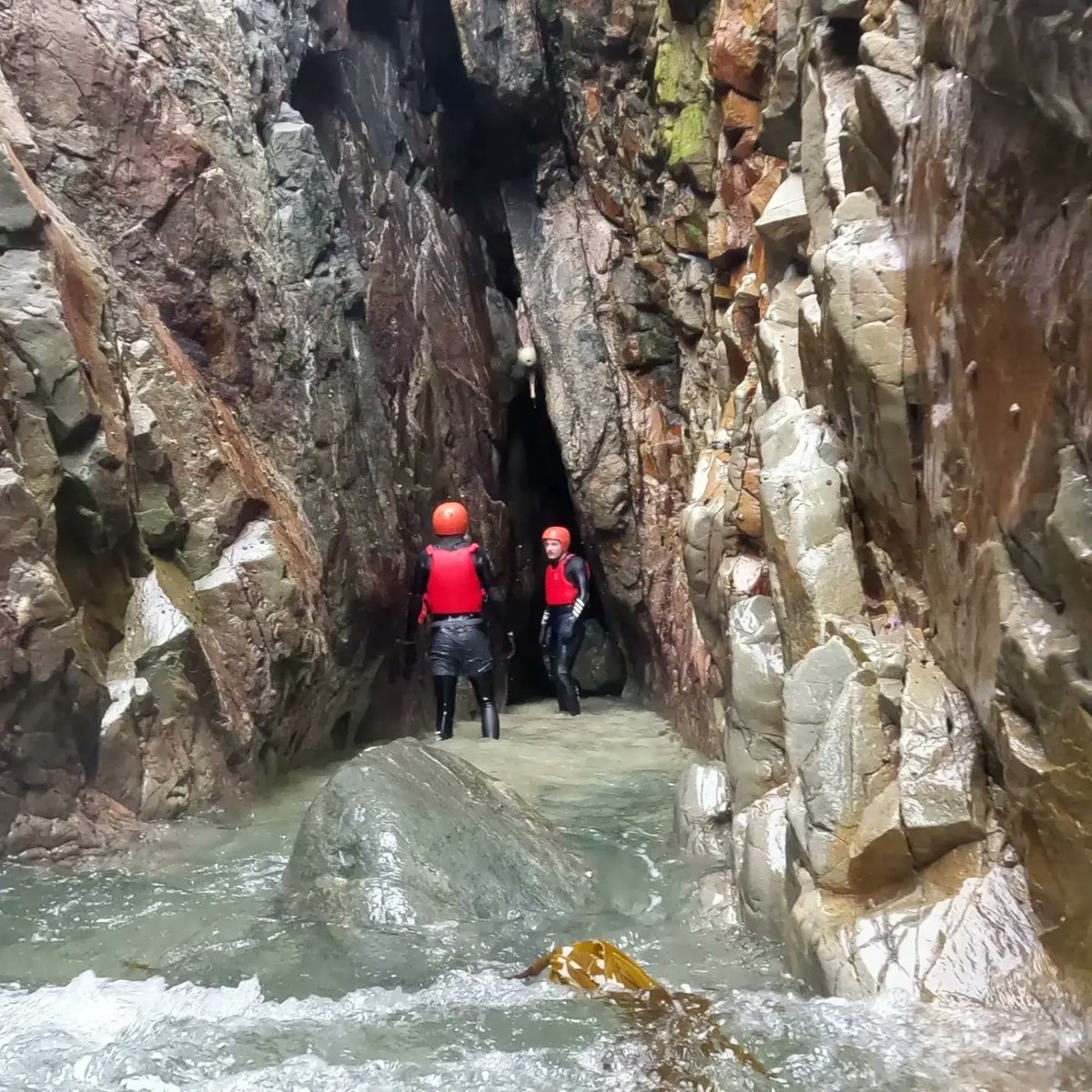 Real Adventures Connemara tweet media