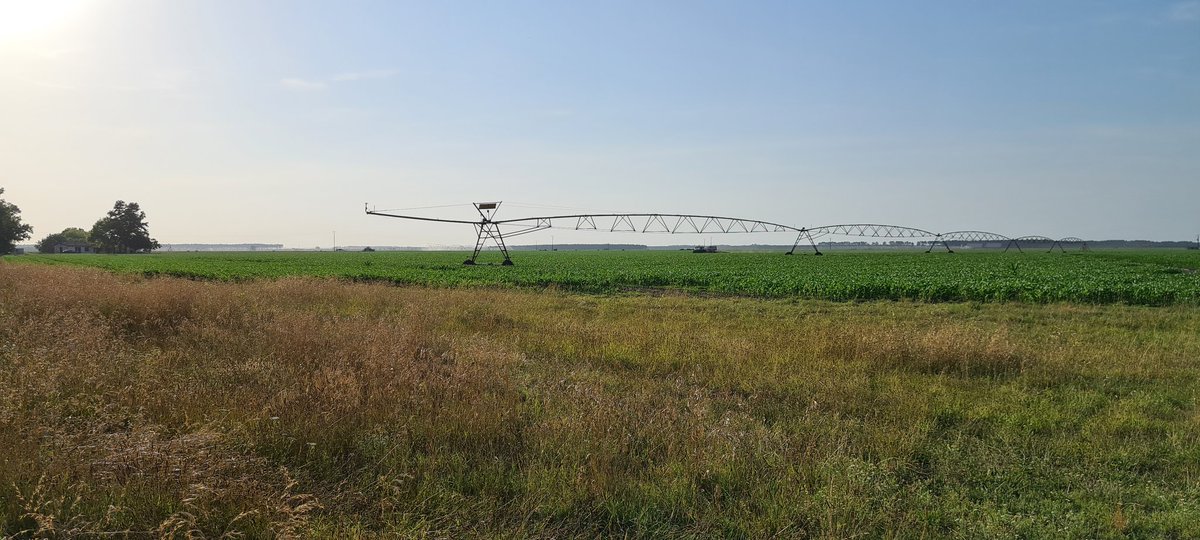 CedricB_YARA's tweet image. Variation dose d&apos;azote de 80 à 130 kg d&apos;azote merci #NSensor. Fin de chantier pour aujourd&apos;hui.