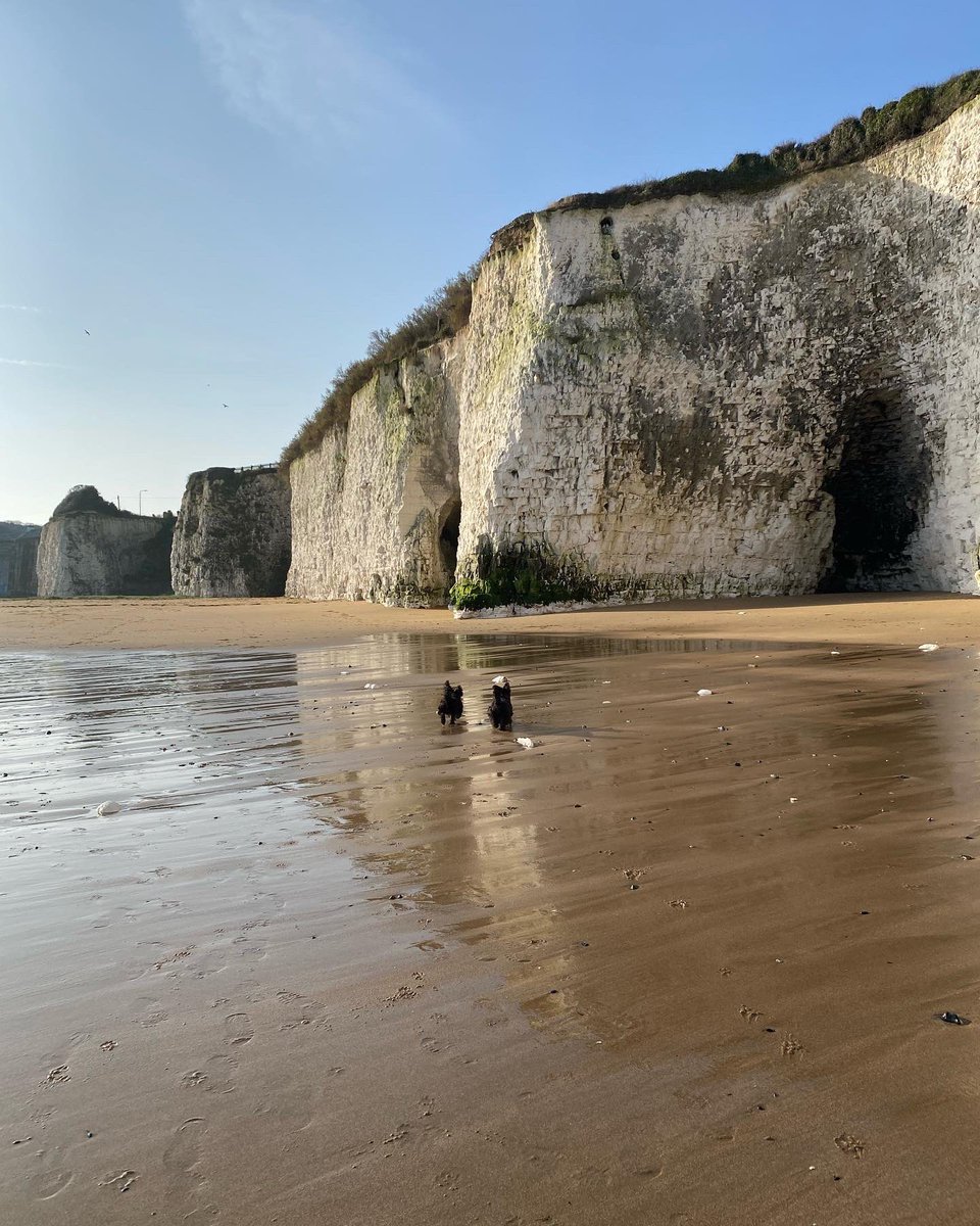Three teaching posts available at our excellent Broadstairs school - in the maths, chemistry and music depts. And when you’re not teaching you can enjoy the local views. 🌞 Please RT. tes.com/jobs/vacancy/t…